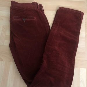 Vince corduroy pants